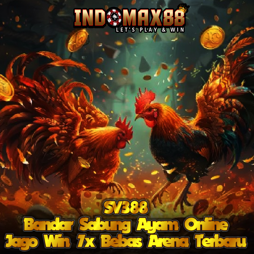 sabung ayam online